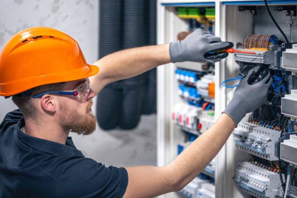 Best Electric Panel Repair  in Millville, DE
